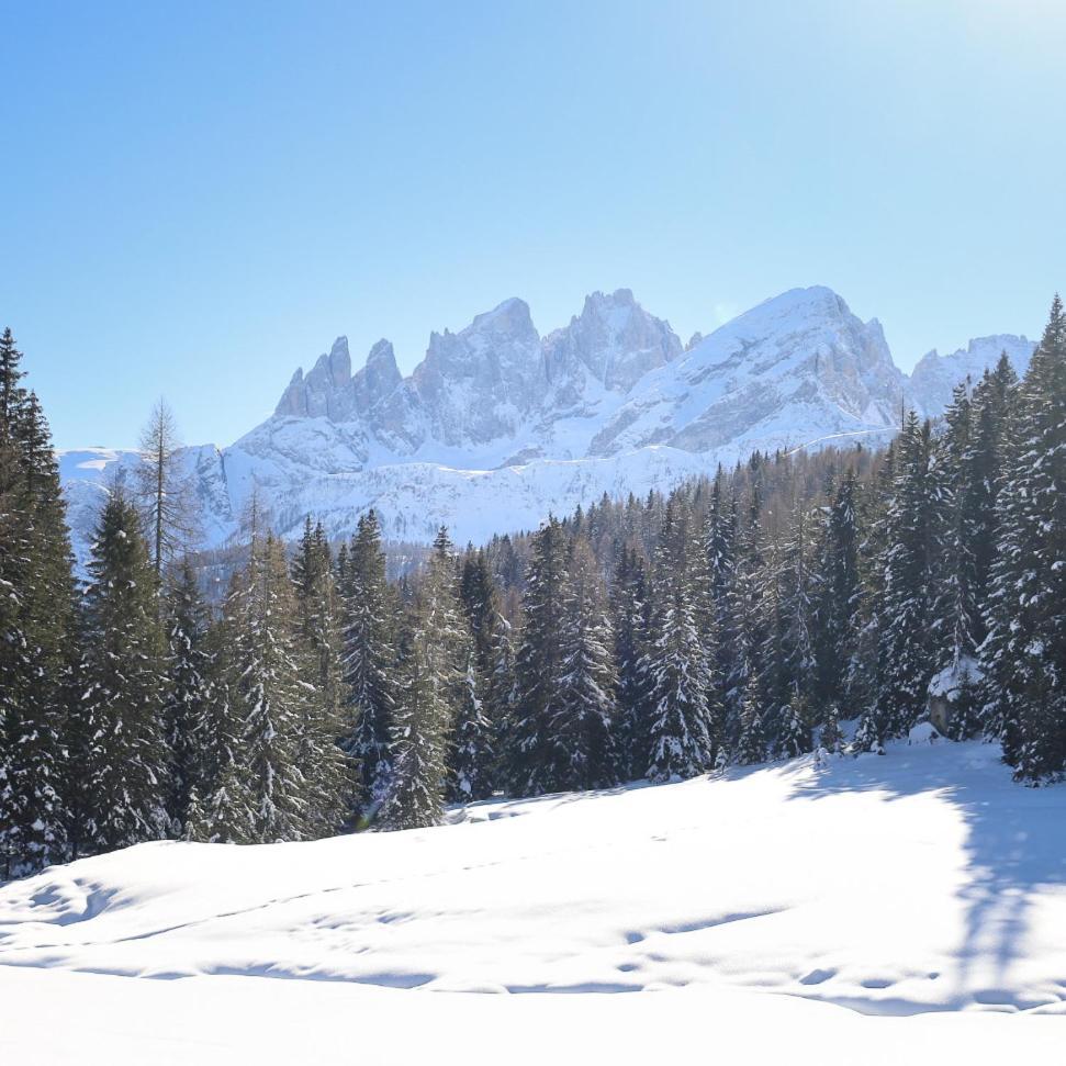 Hotel Rifugio Flora Alpina Passo San Pellegrino Esterno foto