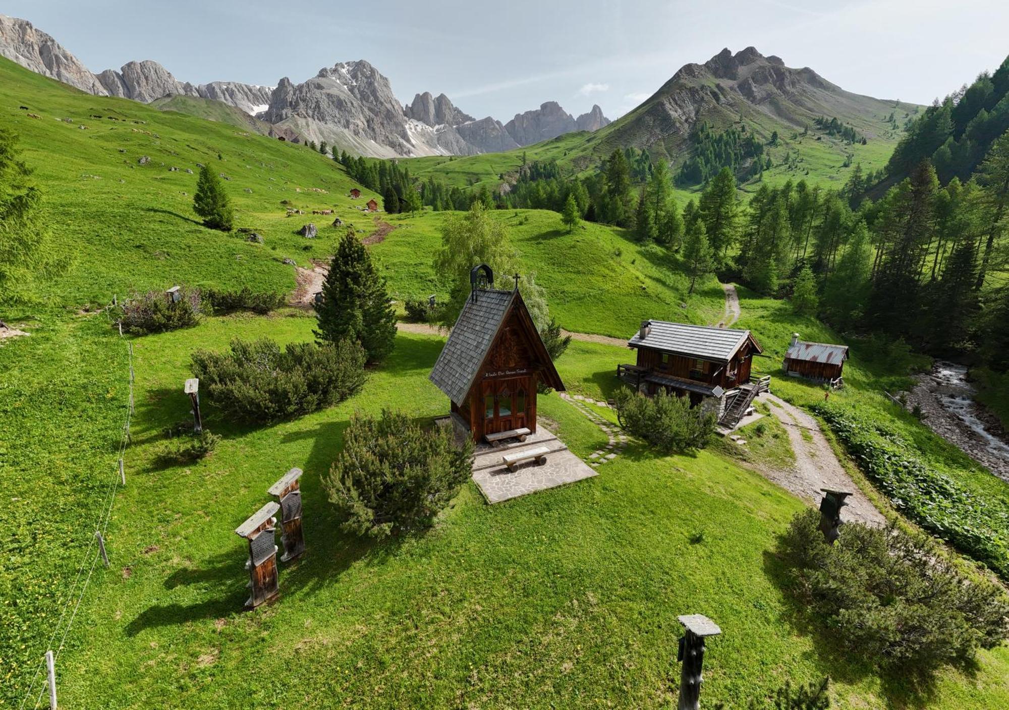 Hotel Rifugio Flora Alpina Passo San Pellegrino Esterno foto